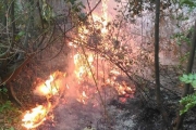 Incendio montagna di Angri, elicotteri in azione